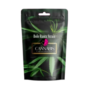 fryd bolo runtz strain