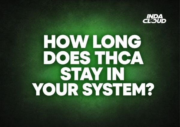 How Long Does THCA Stay in Your System by IndaCloud